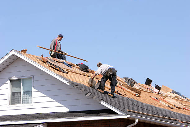 Best Asphalt Shingle Roofing  in Como, MS